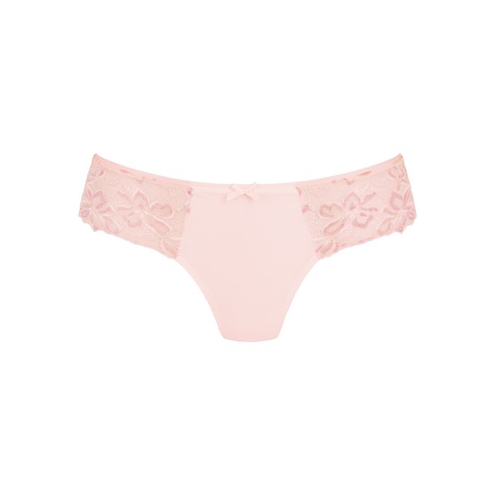 Rosa Faia Shorty - Suzette 1952 - Wild rose
