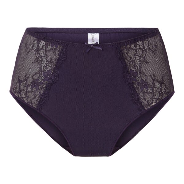 LingaDore Taille slip - Daily 1400B-1-Y26 - Paars Grape (374)